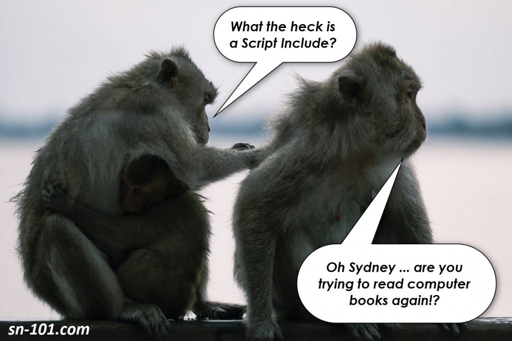 What the heck is a Script Include and Why Would I Want One? Operation