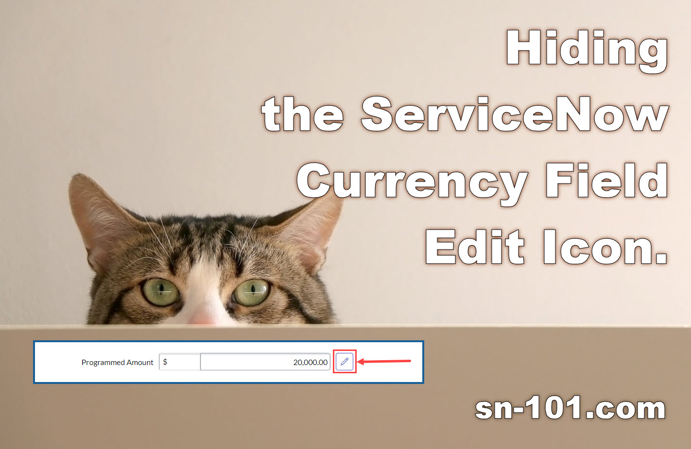 Hiding the ServiceNow Currency Field Edit Icon